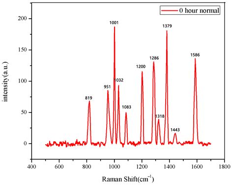 Seed Germination Analysis Based on Raman Spectroscopy