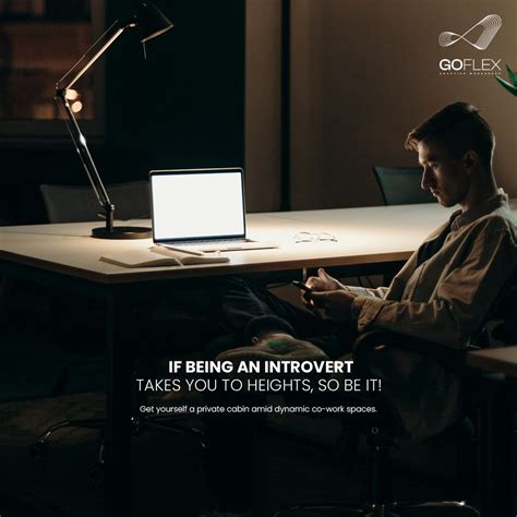 GoFlex Net 的图像结果