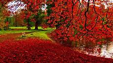 Fall Desktop Backgrounds For by Fall Backgrounds Free Pixelstalk Net Fall Desktop Backgrounds For