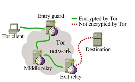 Image result for Tor Browser Source Code