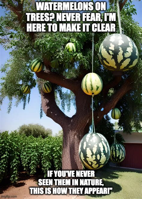 Watermelon Tree 的图像结果