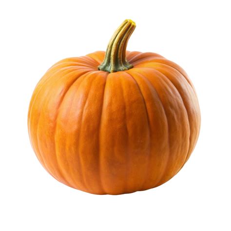 Pumpkin on transparent background 50831275 PNG