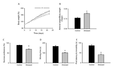 Cav1.2 Activity and Downstream Signaling Pathways in the Hippocampus of ...