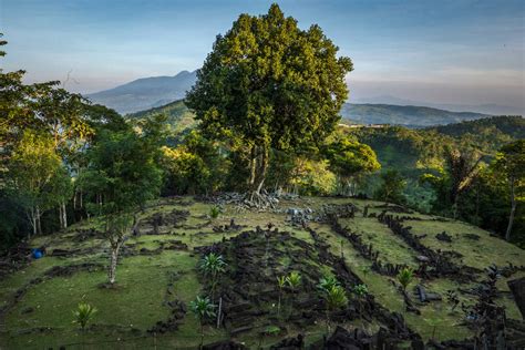 Archaeology 的图像结果
