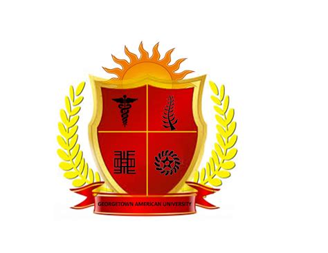 Georgetown American University - AMSA