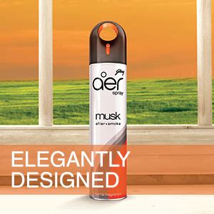 Godrej aer Spray | Room Freshener for Home & Office - Musk After Smoke ...