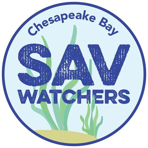 Havre de Grace Maritime Museum SAV Watcher Train-the-Trainer Event, 100 ...