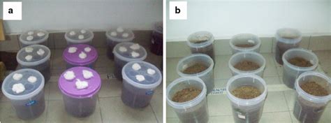 Image result for Open Window Composting