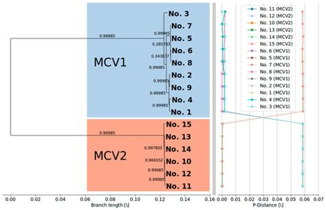New Insights into the Evolutionary and Genomic Landscape of Molluscum ...