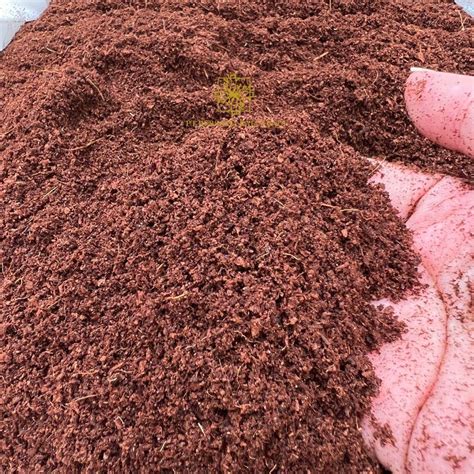 DANNA 100% Organic Loose Cocopeat Powder for Indoor & Outdoor Plants ...