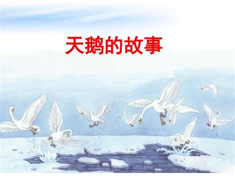 Code API 的图像结果