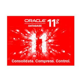 Image result for Oracle Developer 11G