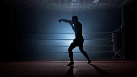 Professional Boxing 的图像结果