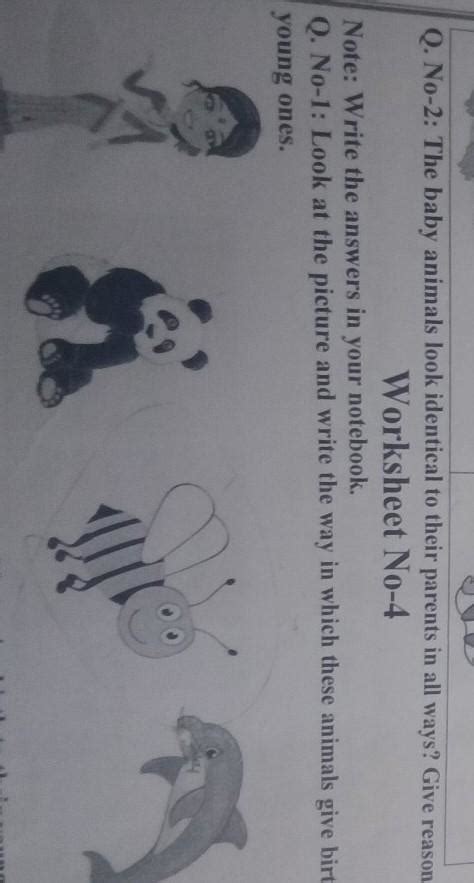 Note: Write the answers in your notebook. Q. No-1: Look at the picture ...