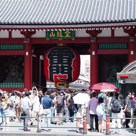 THE BEST TOUR GUIDE IN JAPAN (2025) All You Need to Know BEFORE You Go ...