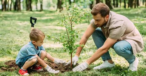 Epazote: The Overlooked Herb with Potent Health Benefits - sharingideas.me