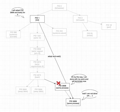 Orphan Process Example 的图像结果