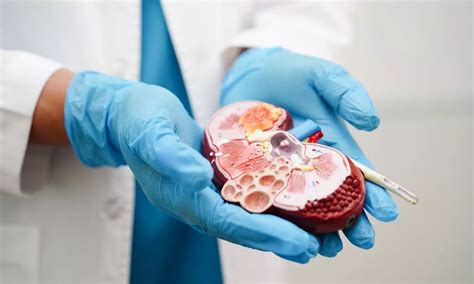 Kidney Transplant in a Rare ‘Bombay’ Blood Group Patient Performed at ...