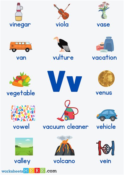 Letter V Vocabulary with Pictures, Alphabet V Words PDF Worksheet For ...
