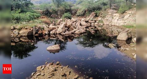 Greens: Take action against upkeep firm for leachate in Aravalis ...