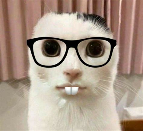 AMBIL SEKARANG