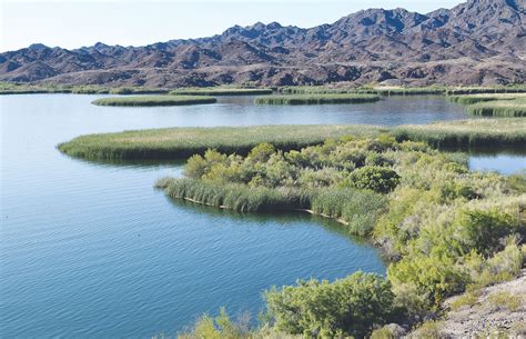 The Lower Owens River - California Fly Fisher