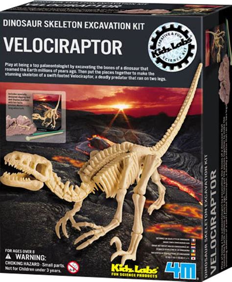 4M Kidz Labs-Dinosaur Skeleton Excavation Kit Velociraptor Price in ...