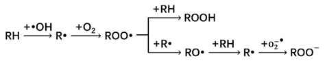 Quantum Mechanical Investigation of the Oxidative Cleavage of the C–C ...