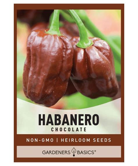 chocolate habanero seeds ukDownload it from chocolate habanero seeds uk ...