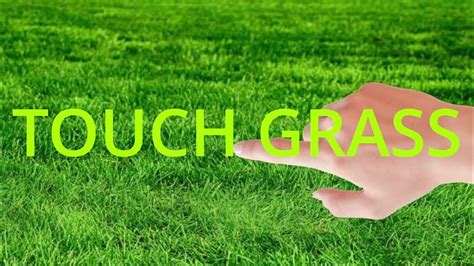 Touching Grass Tutorial 的图像结果