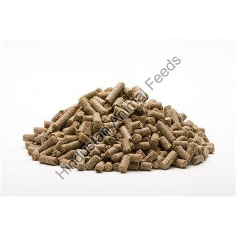 Elephant Feed Manufacturer, Supplier from Jamnagar