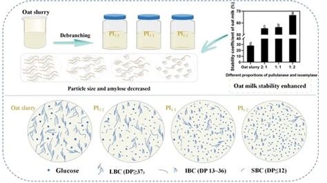 Foods | Special Issue : Green Processing of Starch: Structure, Function ...