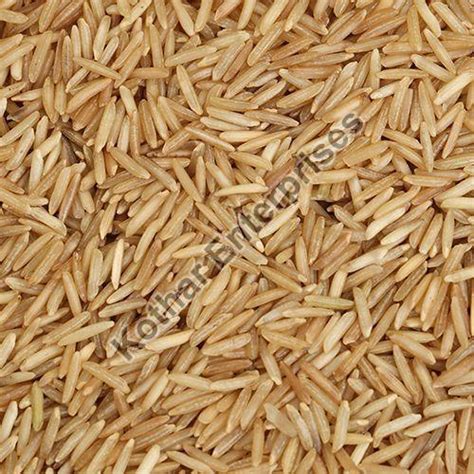 KOTHAR ENTERPRISES Sangareddy - Fresh Green Chilli Manufacturer and ...