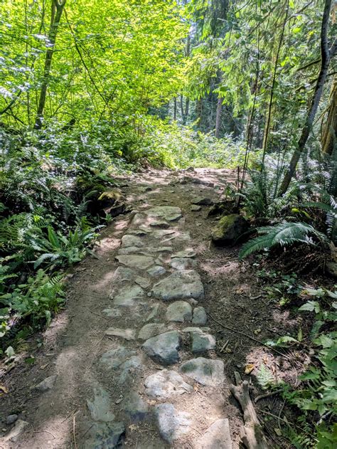 Mount Si Trail: Washington's Legendary Quad-Burner