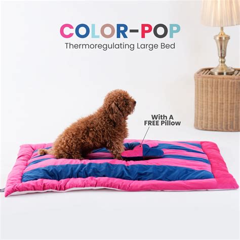 Dresses For Dogs | Dog Clothing | Dog Accessories | Barks and Wags ...