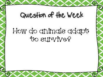 Image result for Exploding Ant Video in Reading Street Book