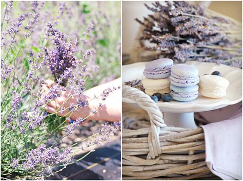 It Smells Like Lavender | Sylvia's Simple Life