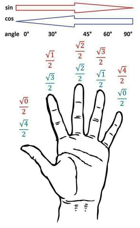 Image result for Unit Circle Hand