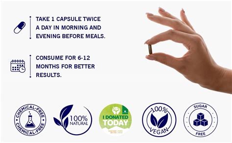 Ayoz Herbal Milk Thistle Capsules - Natural Detox Supplement for Liver ...