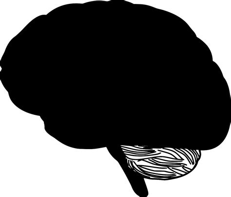 Image result for OpenCV Tutorial Python