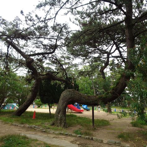 SUMIYOSHI PARK (2026) All You Need to Know BEFORE You Go (with Photos ...