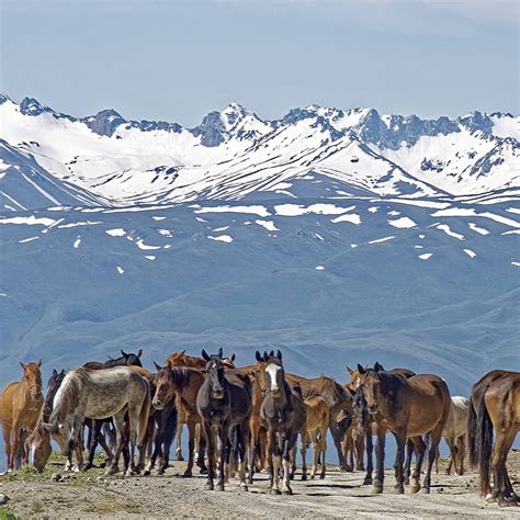 Kazakhstan - Kyrgyzstan with Wander Globe Tours
