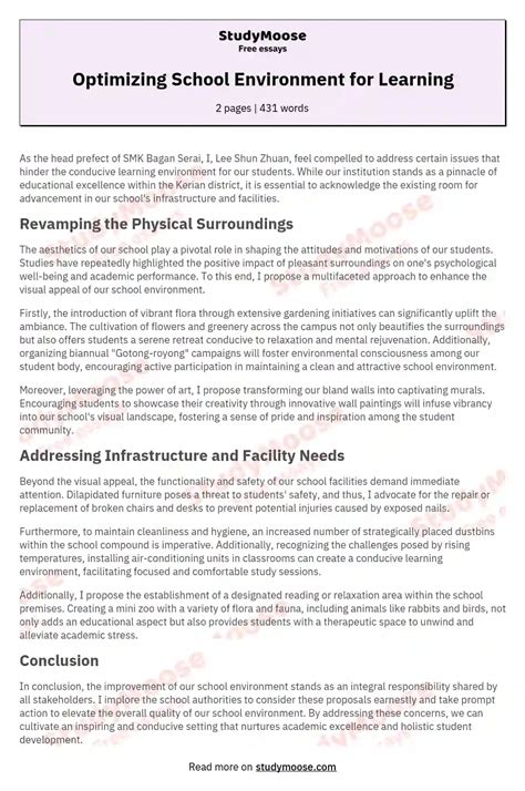 Optimizing School Environment for Learning Free Essay Example