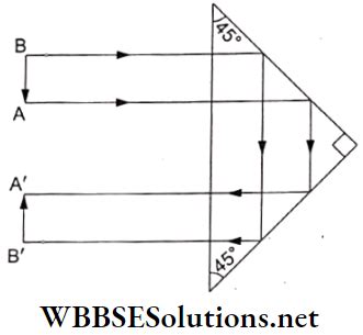 Image result for NSEJS Optics Reflection Questions