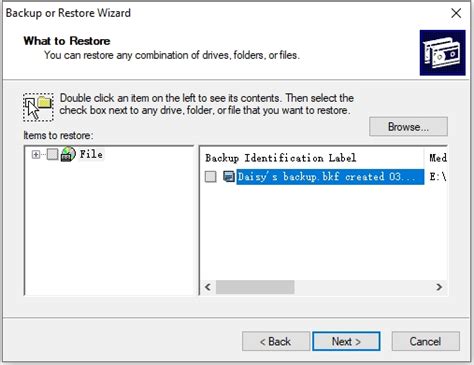 Open BKF File 的图像结果
