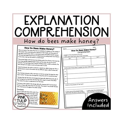 Explanation Text - How Do Bees Make Honey? - Etsy