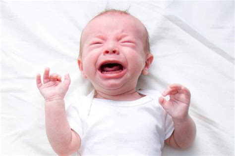 Cry Pto Tutorials 的图像结果