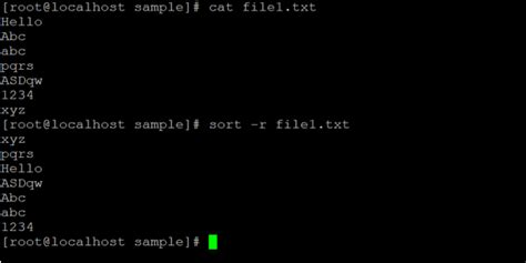 Sort Linux 的图像结果