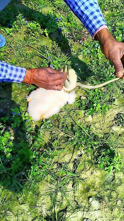 Image result for Scriptures for Keeping Humanity Alive