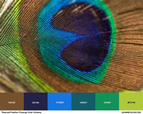 Image result for Pet Sim X Script Tutorial